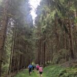 26a9c683 Bfce 4156 B54e B19f1e3d231a